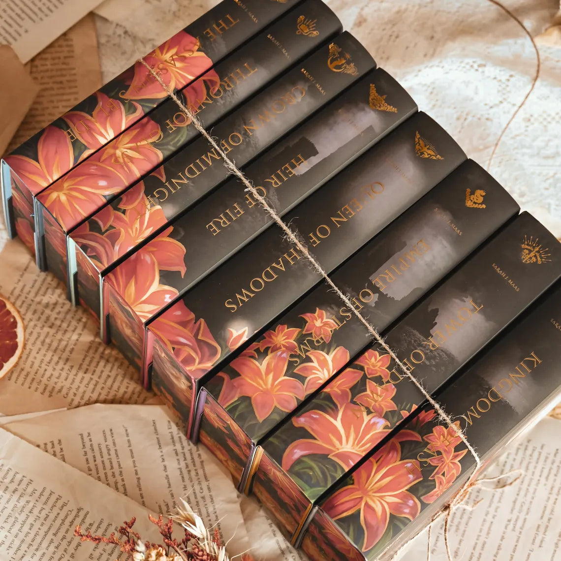 TOG LEGACY (Locations Dust Jackets) by Sarah J. Maas - Throne of Glass Special Edition Box Set
