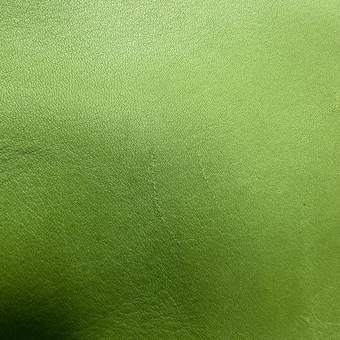 Vintage Coach Ergo Mini Green Leaf 9027 Leather Bag Purse Satchel RARE